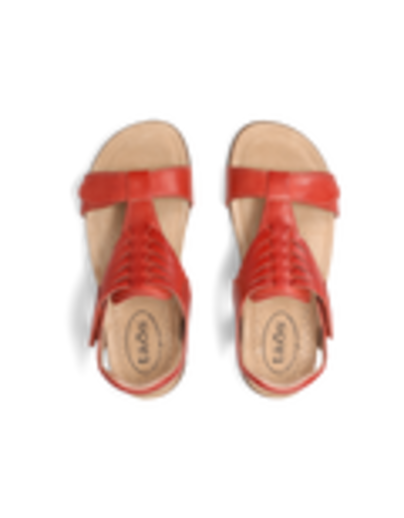 TAOS WOMEN'S WONDERFUL-BRUSCHETTA