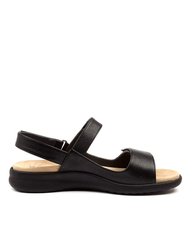 ZIERA WOMEN'S BENJI-BLACK/BLACK