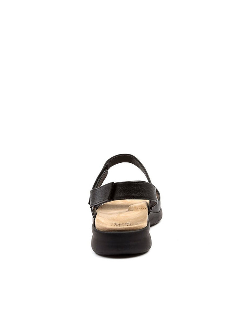 ZIERA WOMEN'S BENJI-BLACK/BLACK