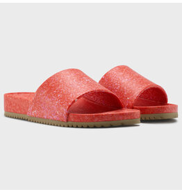 FLEKS EAST BEACH SLIDE-STARFISH