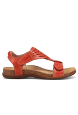 TAOS WOMEN'S WONDERFUL-BRUSCHETTA