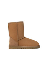UGG WOMEN'S CLASSIC SHORT II-CHESTNUT