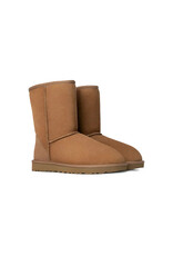 UGG WOMEN'S CLASSIC SHORT II-CHESTNUT