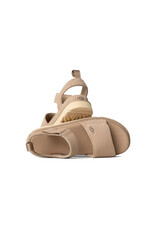 UGG WOMEN'S GOLDENSTAR-SAND