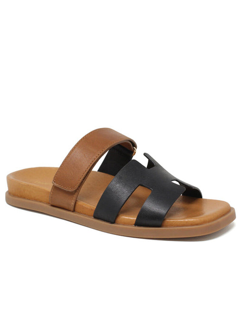 DJANGO & JULIETTE WOMEN'S NODETTE LEATHER-BLACK/TAN
