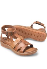 BORN WOMEN'S TROPI-ORANGE
