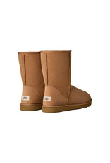 UGG MEN'S CLASSIC SHORT-CHESTNUT