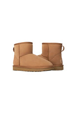 UGG WOMEN'S CLASSIC MINI II BOOT-CHESTNUT