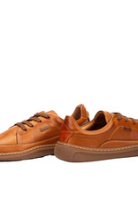 PIKOLINOS ARANJUEZ-BRANDY