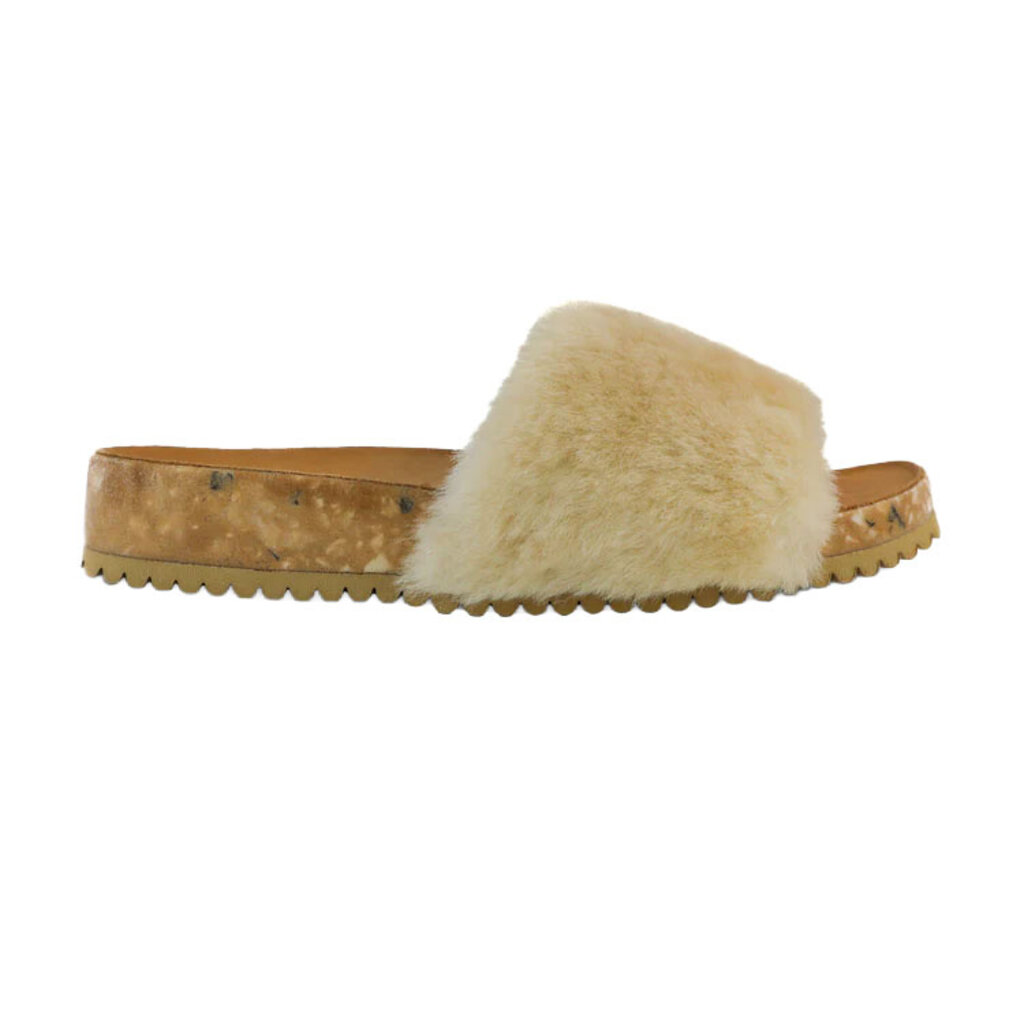 FLEKS SAN YSIDRO SLIDE-MORNING COFFEE