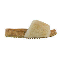 FLEKS SAN YSIDRO SLIDE-MORNING COFFEE