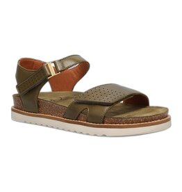 TAOS WOMEN'S MODERN-AVOCADO