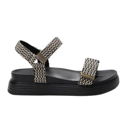 ALEGRIA ALLYSON-FRENCH BRAID