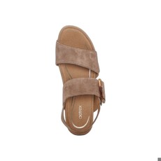 AETREX WOMEN'S ASHLEY-TAUPE | BEND SHOE CO
