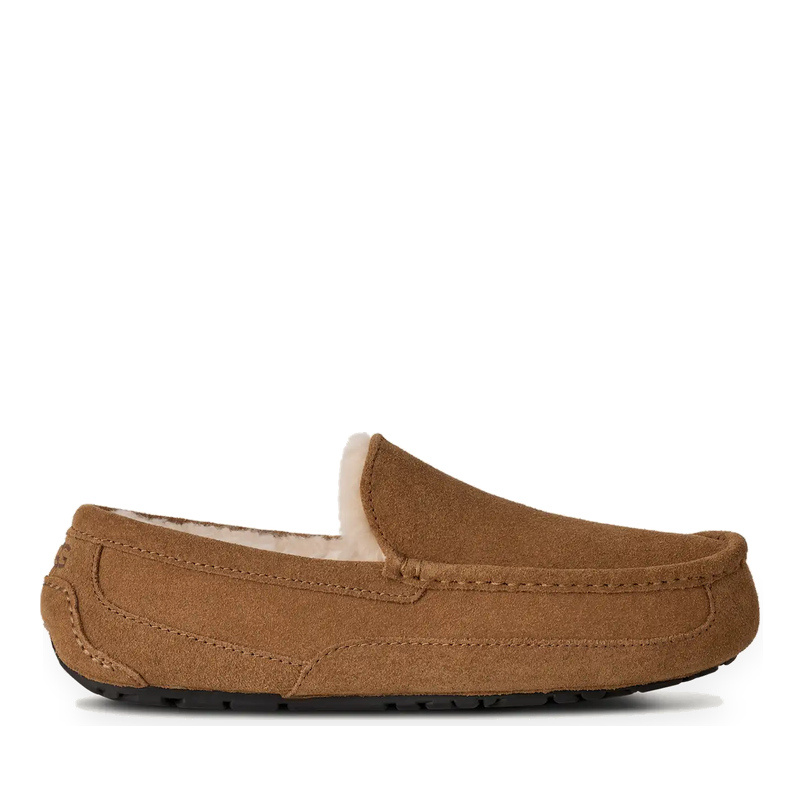 UGG MEN'S ASCOT SLIPPER-CHESTNUT