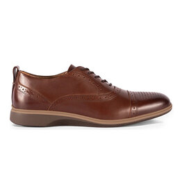 Amberjack THE CAP-TOE-CHESTNUT