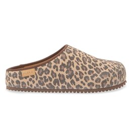 NOLETA CLOG-ROAR
