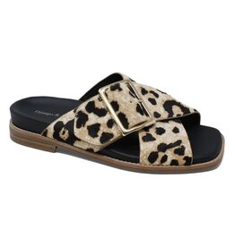 DJANGO & JULIETTE WOMEN'S EFRI-LIGHT LEOPARD PONY