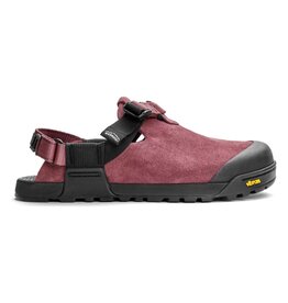 BEDROCK MOUNTAIN CLOG-WILD ROSE
