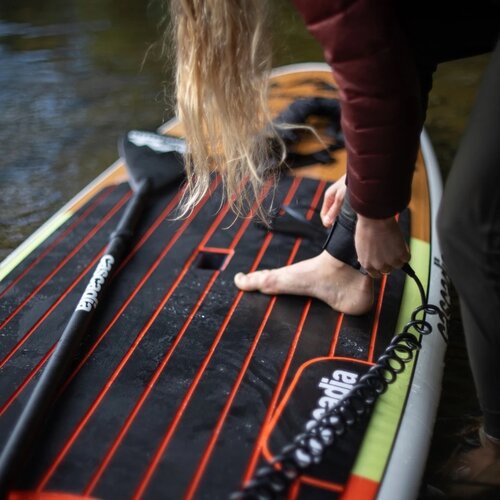 Cascadia SUP 10' Coil Leash