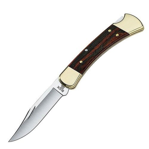 Buck Folding Hunter 0110BRS-B