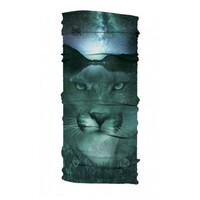 Buff Thermonet Multifunctional Headwear