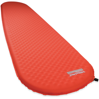 ProLite Plus R value 3.2