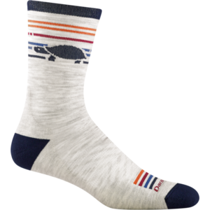 Darn Tough Darn Tough Men's Run Micro Crew Ultra-Lightweight with Cushion 1041