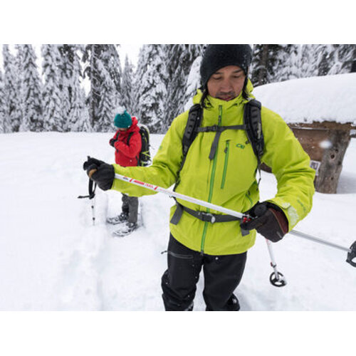 MSR DynaLock  Trail Backcountry Poles