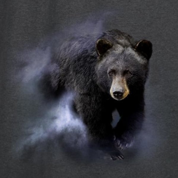 Monashee Outdoors Black Bear in the Mist T-Shirt