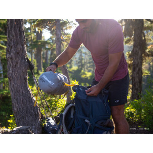 Therm-A-Rest Questar 20F / -6C Reg 13156