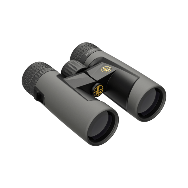 Leupold BX-2 Alpine HD 10x42mm Binoculars, Shadow Gray