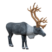 Woodland Caribou 3D Archery Target 1/3 Scale