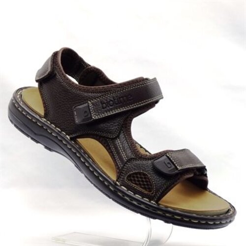Biotime Men's Wander