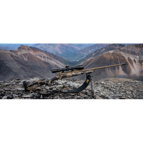 Firearms & Archery
