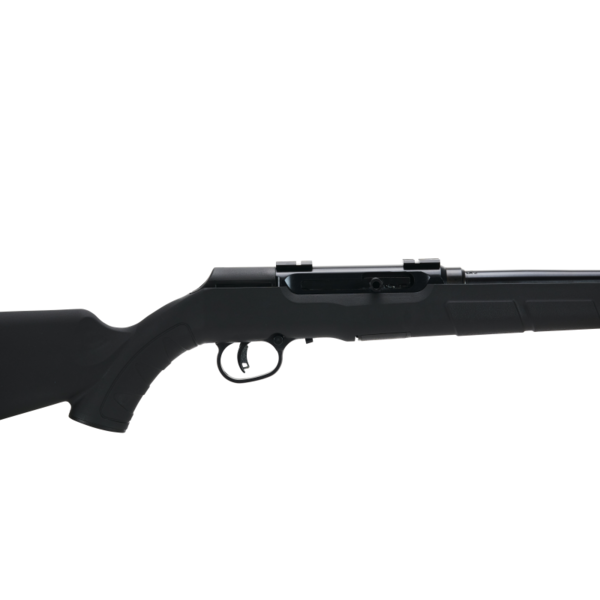 Savage Arms Savage A22 FNS 22LR Semi-Auto, Black Synthetic