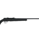 Savage Arms Savage A22 FNS 22LR Semi-Auto, Black Synthetic