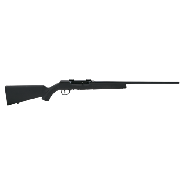 Savage Arms Savage A22 FNS 22LR Semi-Auto, Black Synthetic