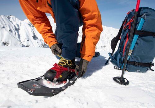Winter Activities