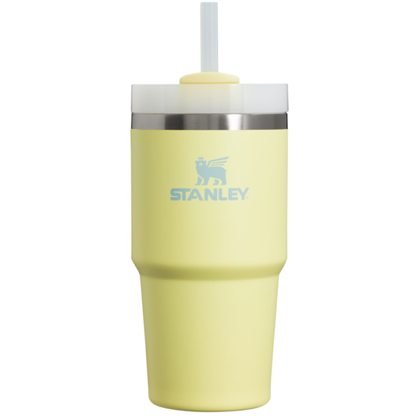 Stanley The Quencher H2.0 Flowstate Tumbler