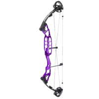 Prime ONE 36 STX Target Bow, Purple, Shoot Through Riser, Prime Archery