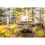 Browning X-Bolt 2 Speed Ovix Muzzle Brake 300 WM 26" 1 in 10"