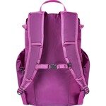 Mystery Ranch In and Out Packable Day Pack