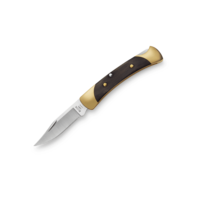 Buck The 55 Folding Classic