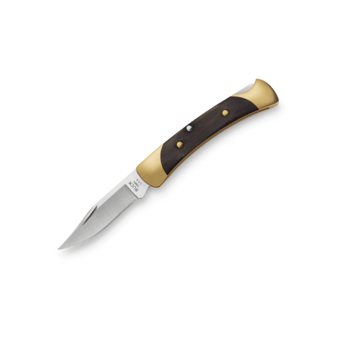 Buck Buck The 55 Folding Classic