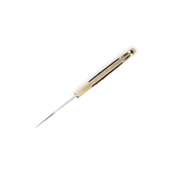 Buck Buck The 55 Folding Classic