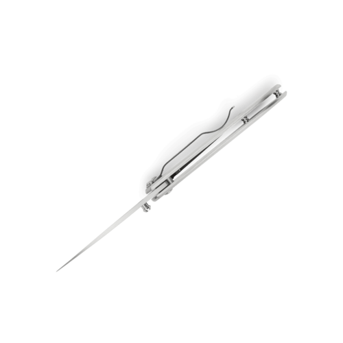 Buck Nobleman, Brushed Steel, Frame Lock Buck Nobleman, Brushed Steel, Frame Lock