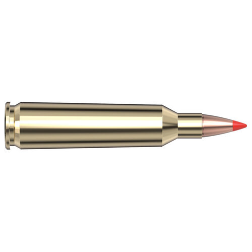 Hornady Superformance Ammunition