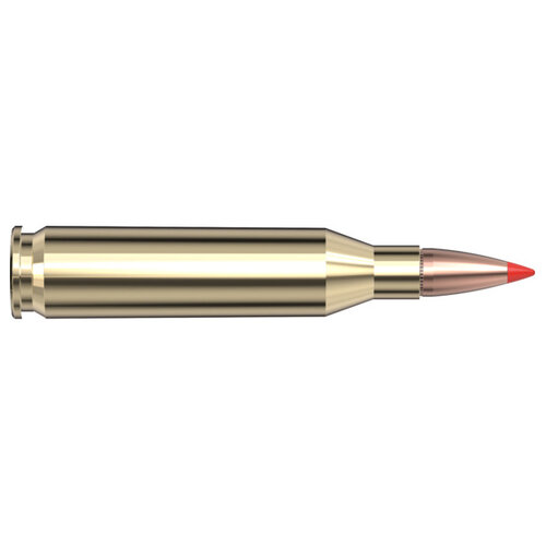 Hornady Superformance Ammunition