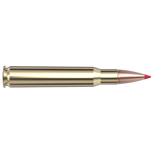 Hornady Superformance Ammunition